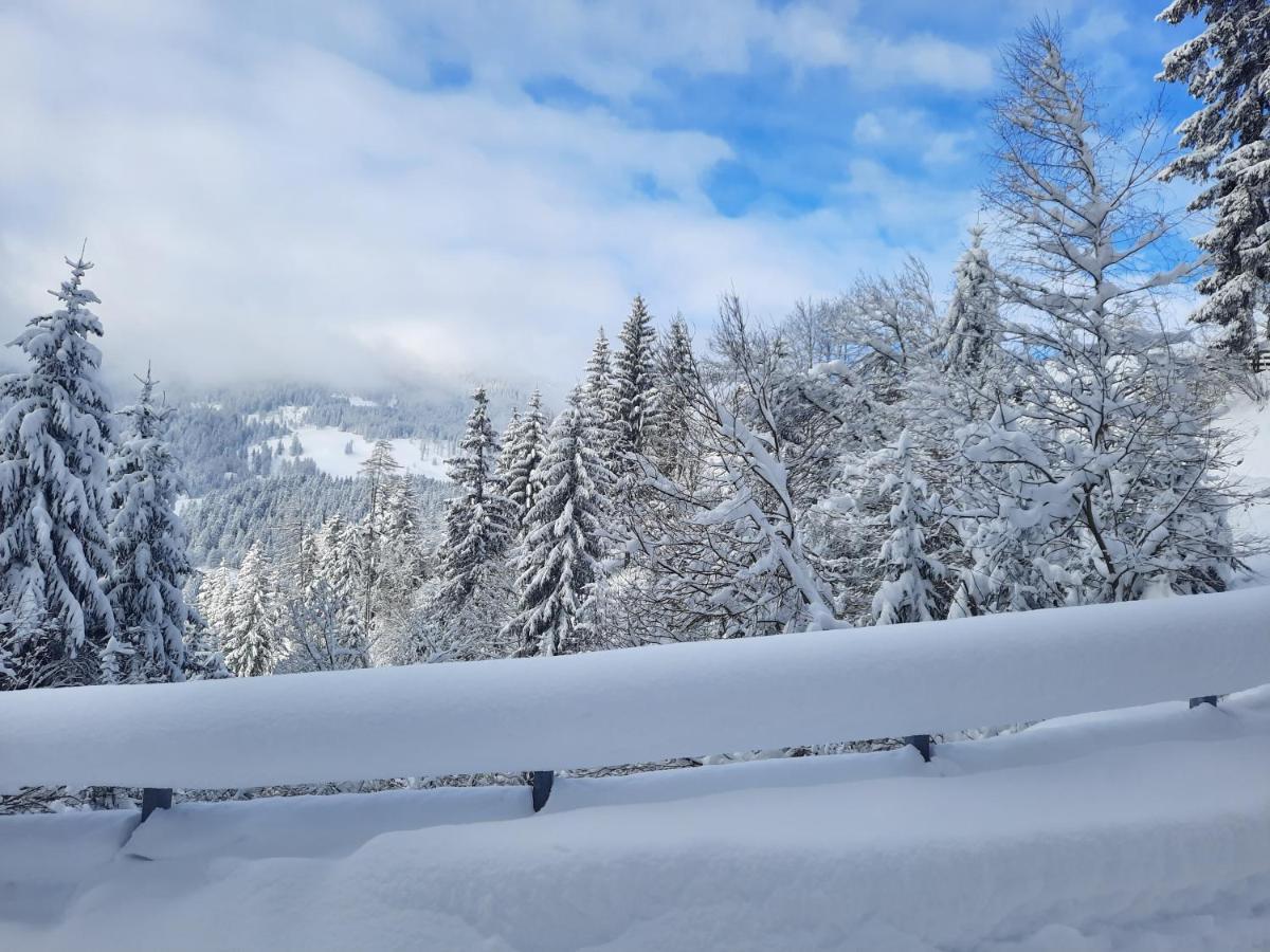 Apartmán Steinhof Gries Exteriér fotografie
