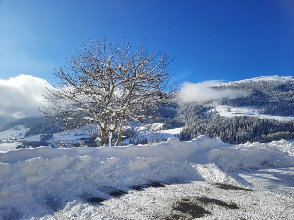 Apartmán Steinhof Gries Exteriér fotografie